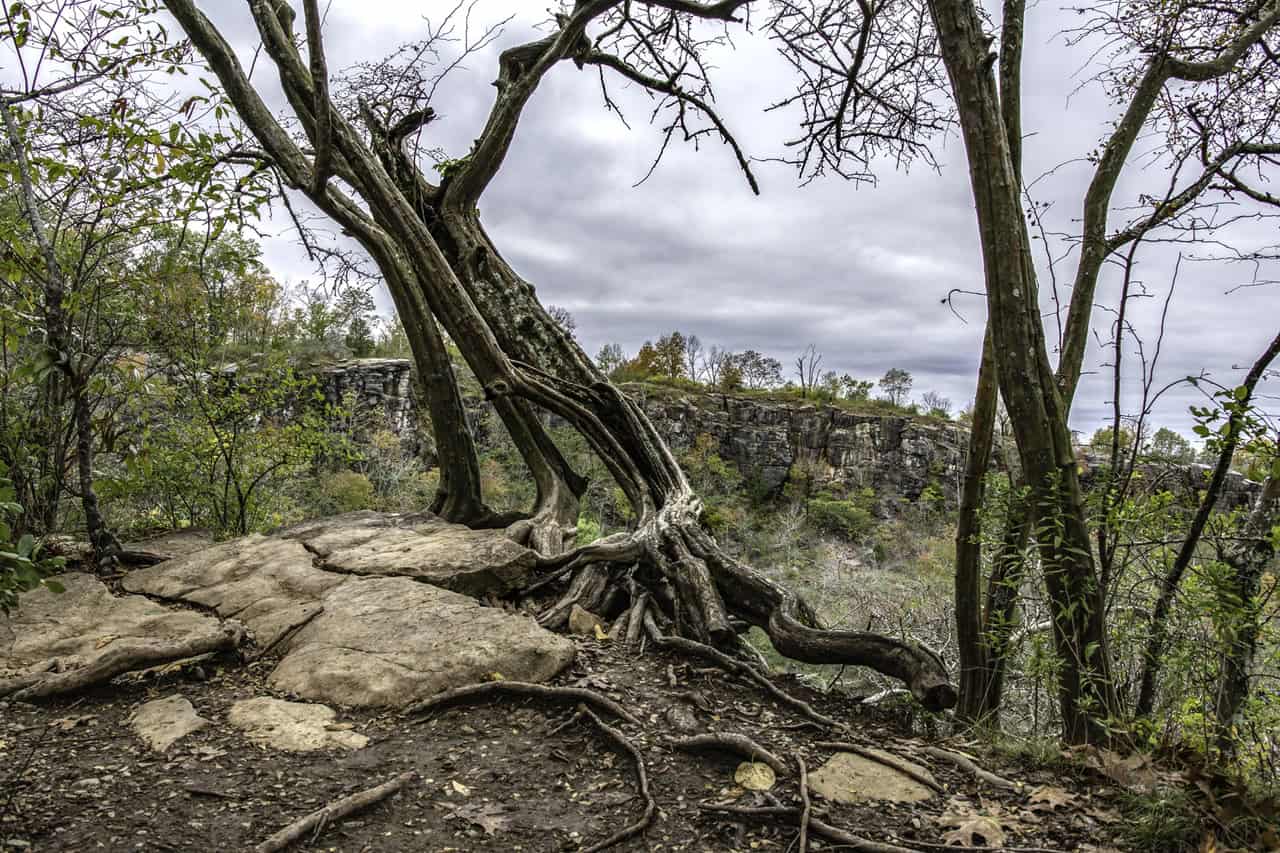 Ruffner Mountain Nature Center