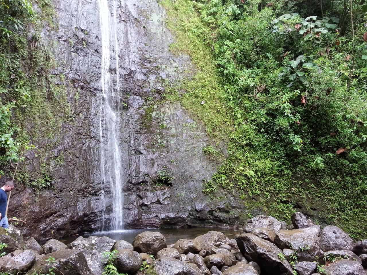 Manoa Falls