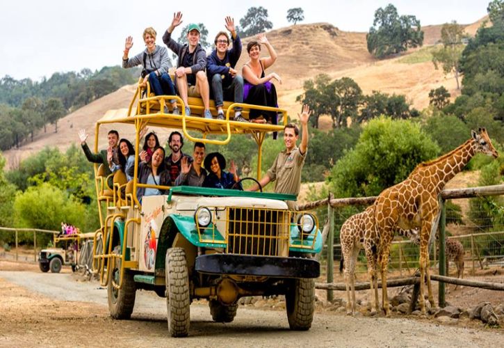 best safari in california
