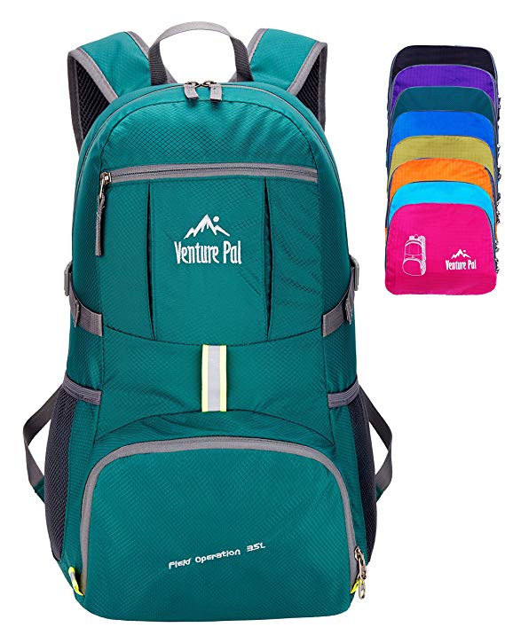 Venture Pal Lightweight Travel Hiking Backpack