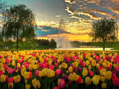 Best Botanical Gardens In North America