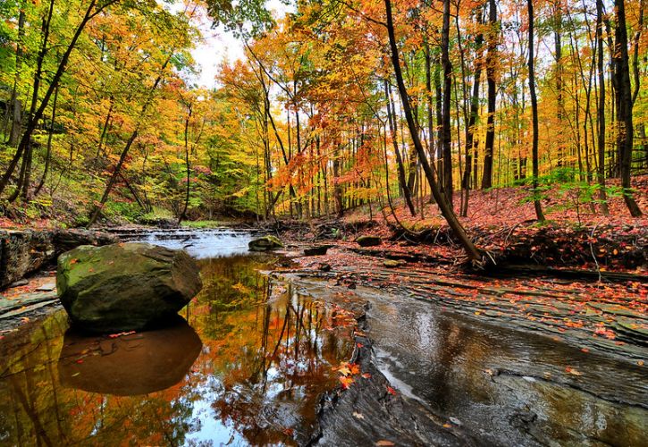 10 Best National Parks to See Fall Foliage in the US